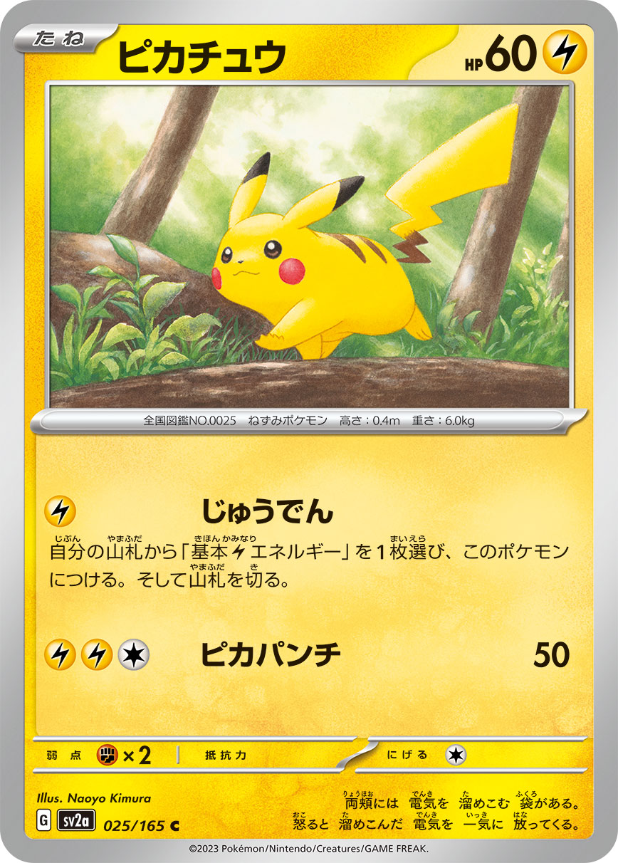 ピカチュウ マスターボールミラー